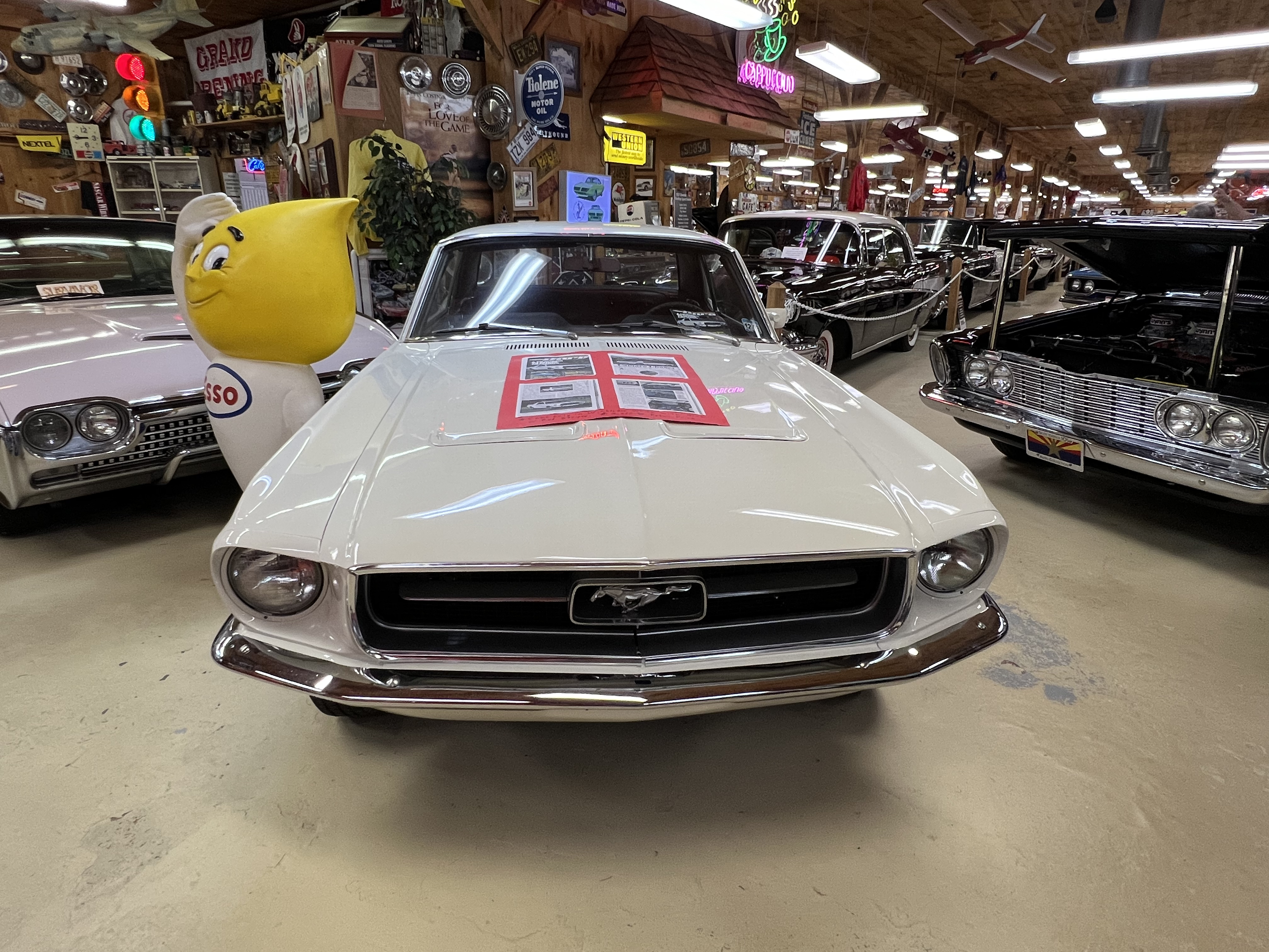 ./2024/10 - Myrtle Beach/IMG_3214.jpg